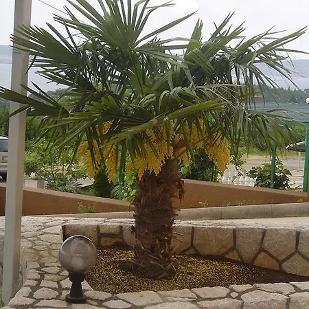 In With Sea View, Balcony, Air Conditioning, Wifi 4623-6 Dramalj