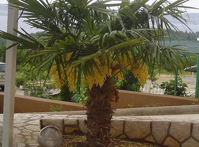 In With Sea View, Balcony, Air Conditioning, Wifi 4623-6 Dramalj